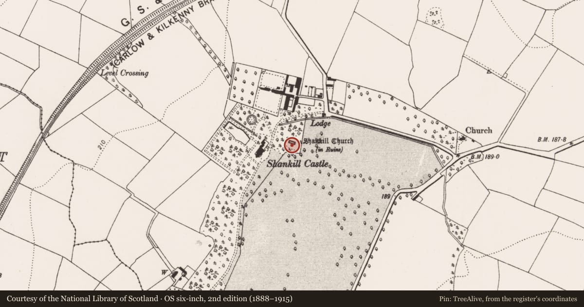 Ordnance Survey six-inch map, 2nd edition (1888–1915) covering the location of Church, Shankill, County Kilkenny, with a pin at the register's coordinates