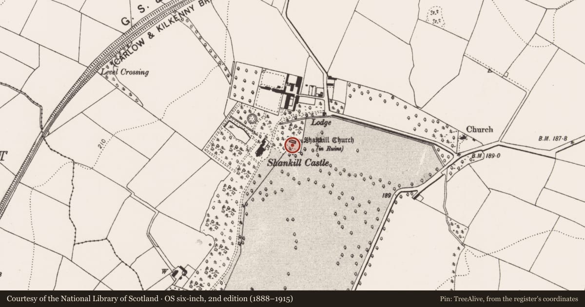 Ordnance Survey six-inch map, 2nd edition (1888–1915) covering the location of Graveyard, Shankill, County Kilkenny, with a pin at the register's coordinates