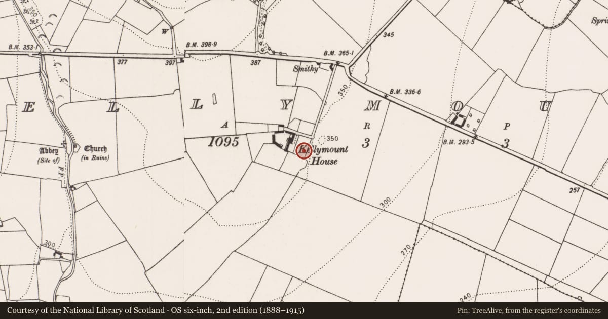 Ordnance Survey six-inch map, 2nd edition (1888–1915) covering the location of Tunnel, Kellymount, County Kilkenny, with a pin at the register's coordinates