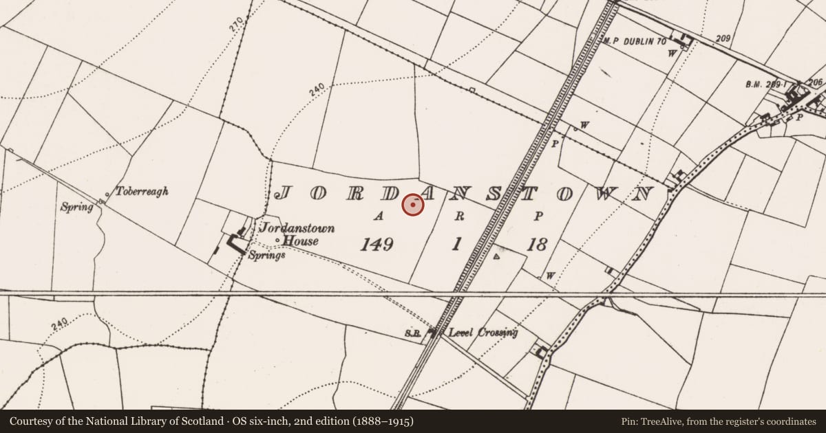 Ordnance Survey six-inch map, 2nd edition (1888–1915) covering the location of Kiln - corn-drying, Jordanstown, County Kilkenny, with a pin at the register's coordinates