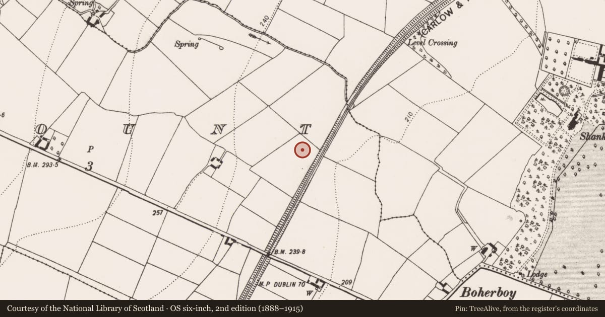 Ordnance Survey six-inch map, 2nd edition (1888–1915) covering the location of Kiln - corn-drying, Kellymount, County Kilkenny, with a pin at the register's coordinates