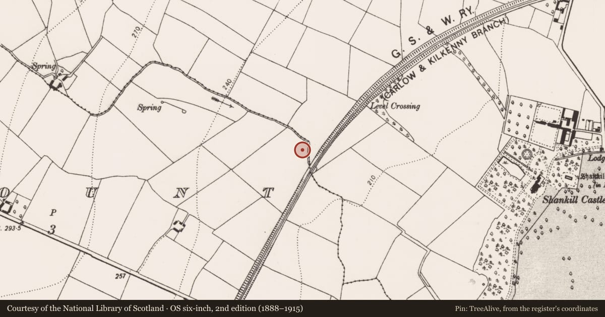 Ordnance Survey six-inch map, 2nd edition (1888–1915) covering the location of Fulacht fia, Kellymount, County Kilkenny, with a pin at the register's coordinates