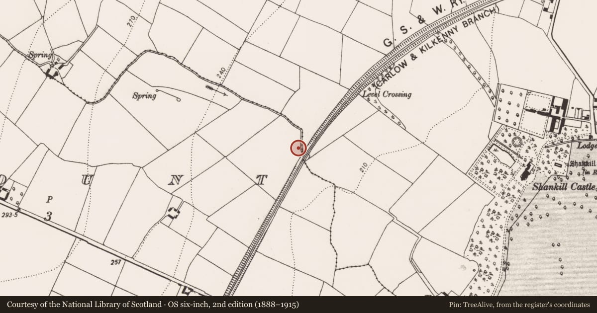 Ordnance Survey six-inch map, 2nd edition (1888–1915) covering the location of Ring-ditch, Kellymount, County Kilkenny, with a pin at the register's coordinates