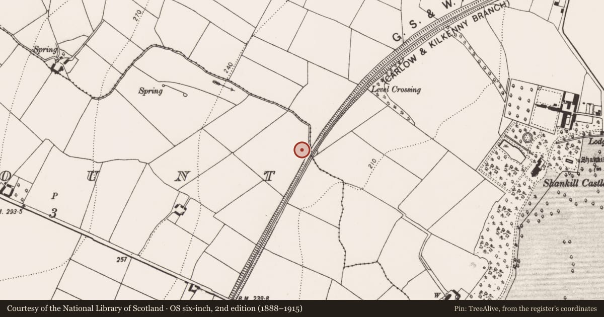 Ordnance Survey six-inch map, 2nd edition (1888–1915) covering the location of Metalworking site, Kellymount, County Kilkenny, with a pin at the register's coordinates