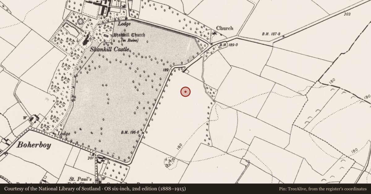 Ordnance Survey six-inch map, 2nd edition (1888–1915) covering the location of Ring-ditch, Shankill, County Kilkenny, with a pin at the register's coordinates
