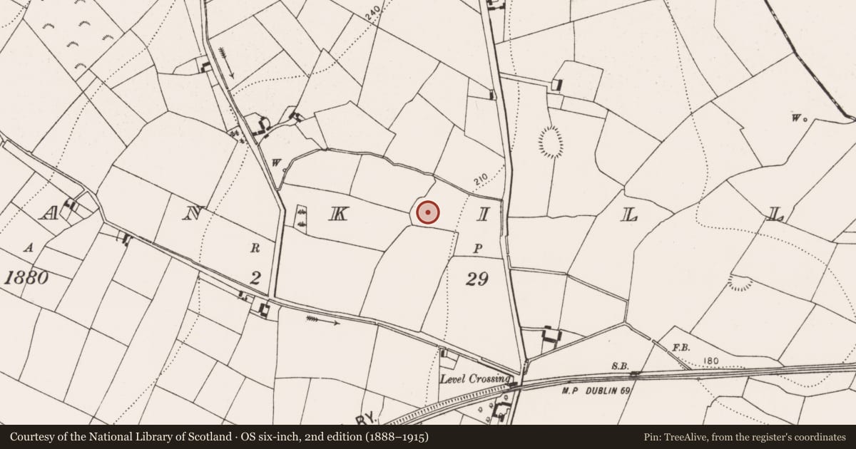 Ordnance Survey six-inch map, 2nd edition (1888–1915) covering the location of Enclosure, Shankill, County Kilkenny, with a pin at the register's coordinates