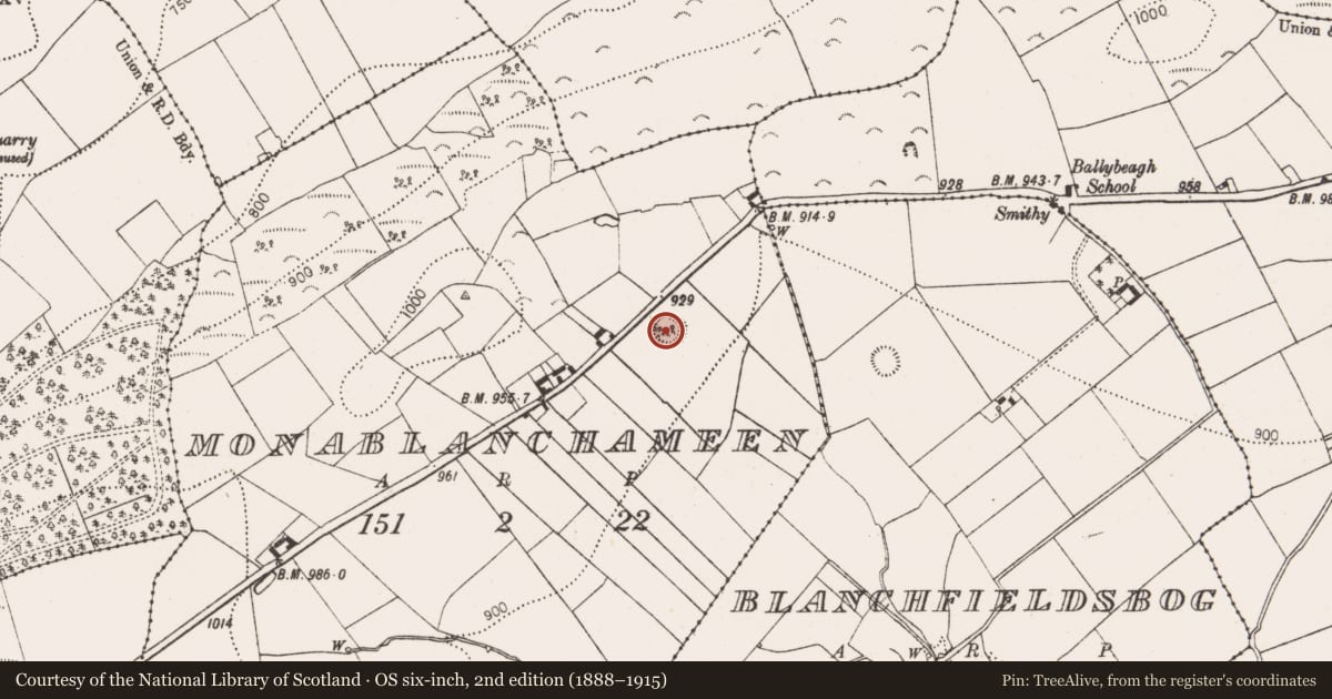 Ordnance Survey six-inch map, 2nd edition (1888–1915) covering the location of Ringfort - rath, Monablanchameen, County Kilkenny, with a pin at the register's coordinates