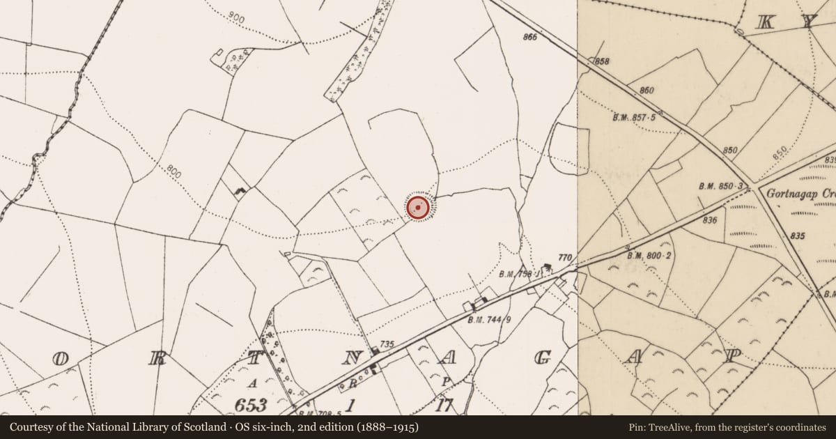Ordnance Survey six-inch map, 2nd edition (1888–1915) covering the location of Ringfort - rath, Gortnagap, County Kilkenny, with a pin at the register's coordinates