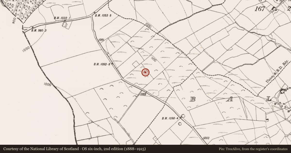 Ordnance Survey six-inch map, 2nd edition (1888–1915) covering the location of Cairn - unclassified, Boggan, County Kilkenny, with a pin at the register's coordinates