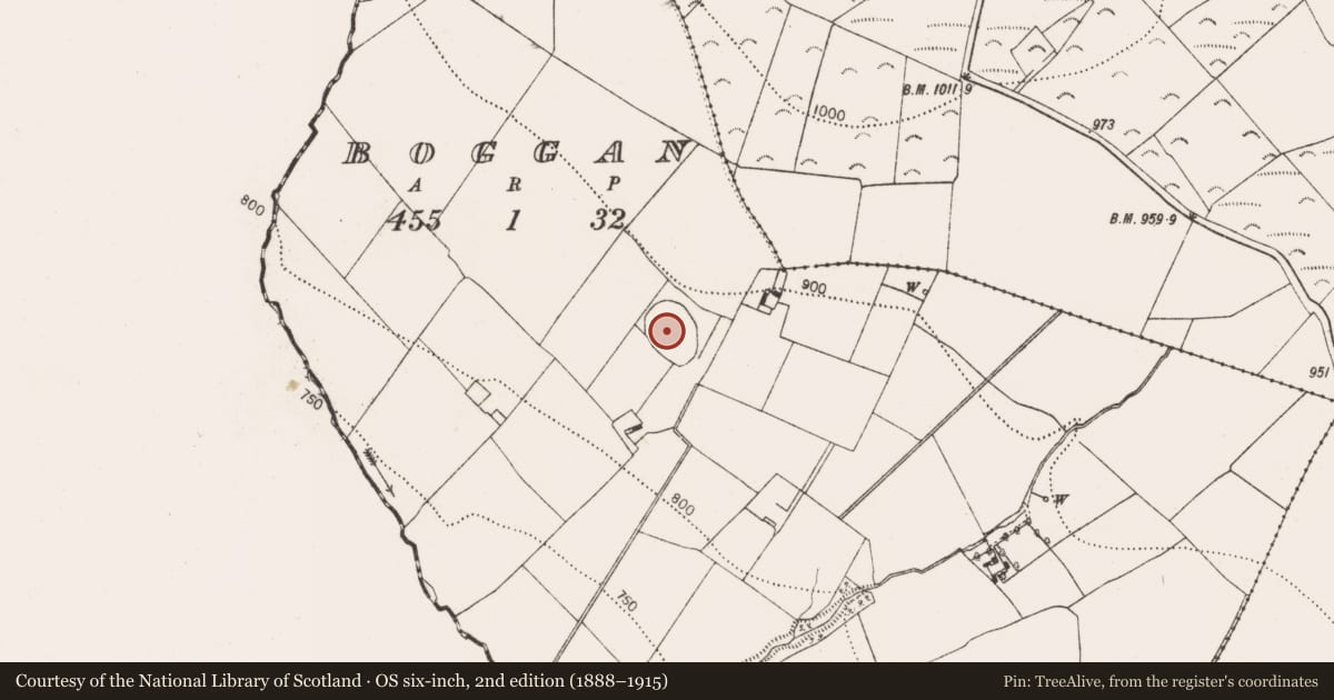 Ordnance Survey six-inch map, 2nd edition (1888–1915) covering the location of Enclosure, Boggan, County Kilkenny, with a pin at the register's coordinates