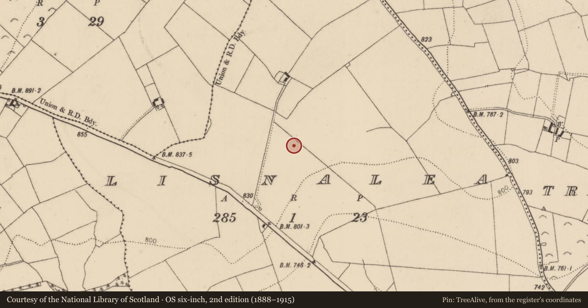 Ordnance Survey six-inch map, 2nd edition (1888–1915) covering the location of Enclosure, Lisnalea, County Kilkenny, with a pin at the register's coordinates