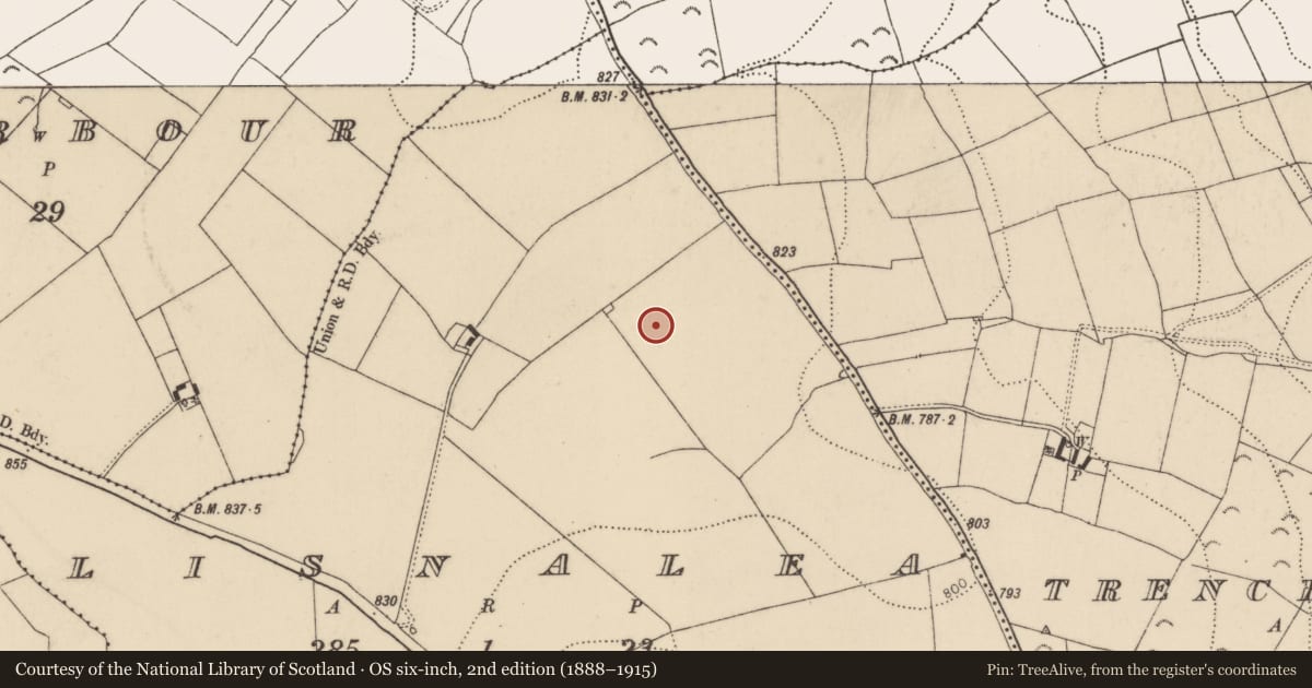 Ordnance Survey six-inch map, 2nd edition (1888–1915) covering the location of Enclosure, Lisnalea, County Kilkenny, with a pin at the register's coordinates