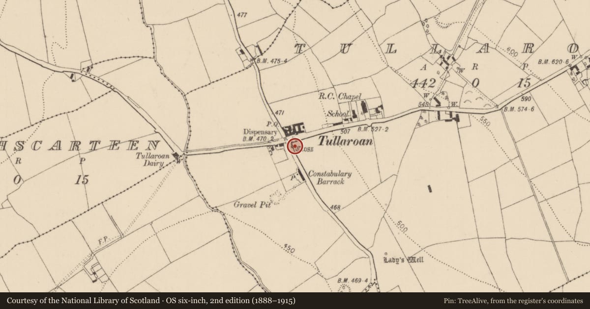 Ordnance Survey six-inch map, 2nd edition (1888–1915) covering the location of Cross - Wayside cross, Tullaroan, County Kilkenny, with a pin at the register's coordinates