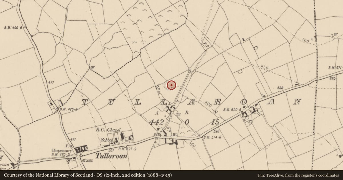 Ordnance Survey six-inch map, 2nd edition (1888–1915) covering the location of Enclosure, Tullaroan, County Kilkenny, with a pin at the register's coordinates