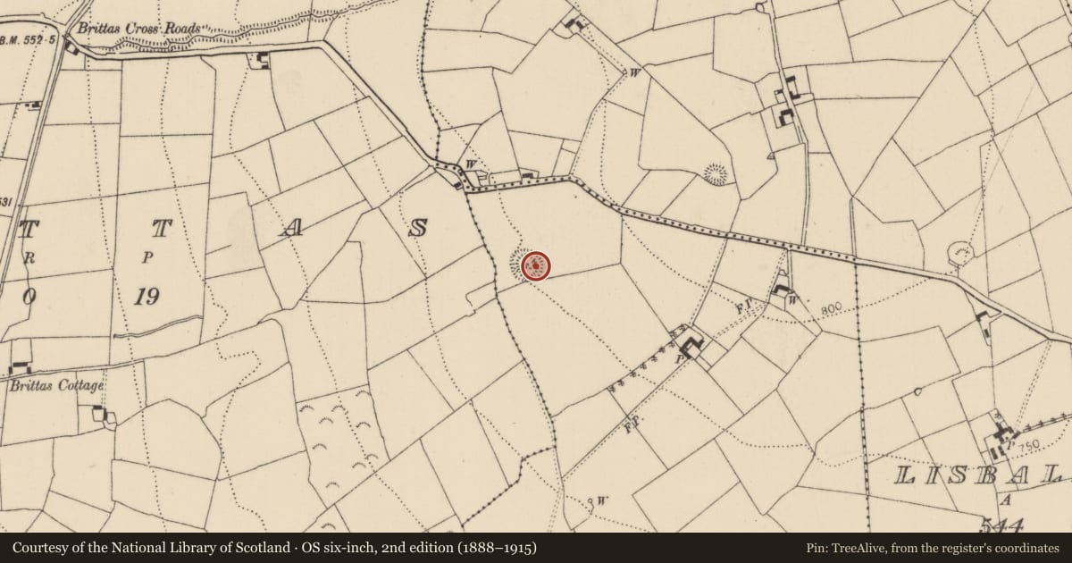 Ordnance Survey six-inch map, 2nd edition (1888–1915) covering the location of Ringfort - rath, Tullaroan, County Kilkenny, with a pin at the register's coordinates