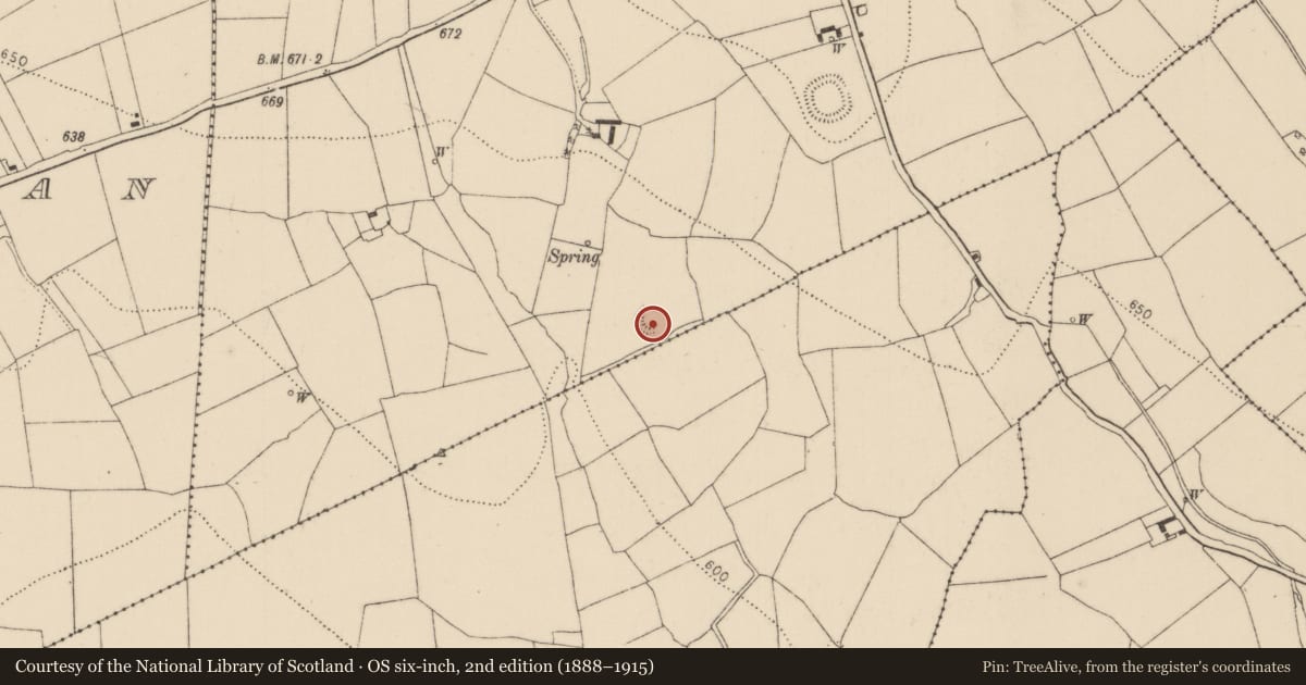 Ordnance Survey six-inch map, 2nd edition (1888–1915) covering the location of Ringfort - rath, Lisballyfroot, County Kilkenny, with a pin at the register's coordinates
