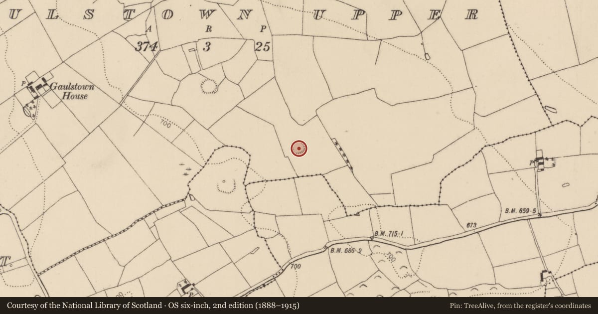 Ordnance Survey six-inch map, 2nd edition (1888–1915) covering the location of Enclosure, Gaulstown Upper, County Kilkenny, with a pin at the register's coordinates