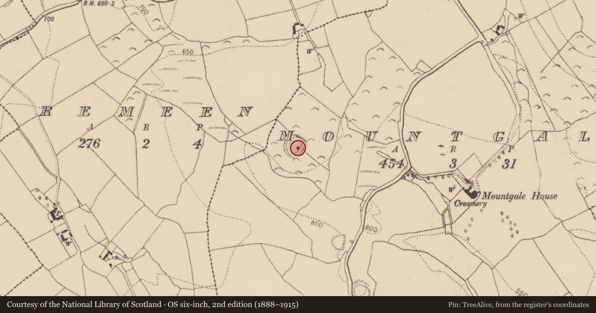 Ordnance Survey six-inch map, 2nd edition (1888–1915) covering the location of Ringfort - rath, Mountgale, County Kilkenny, with a pin at the register's coordinates