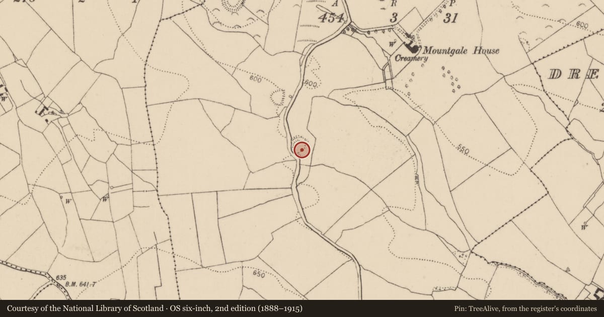 Ordnance Survey six-inch map, 2nd edition (1888–1915) covering the location of Enclosure, Mountgale, County Kilkenny, with a pin at the register's coordinates