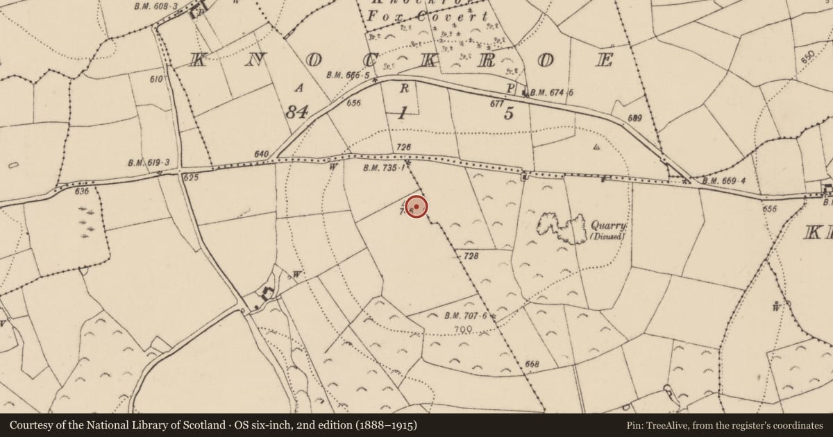 Ordnance Survey six-inch map, 2nd edition (1888–1915) covering the location of Enclosure, Mountgale, County Kilkenny, with a pin at the register's coordinates