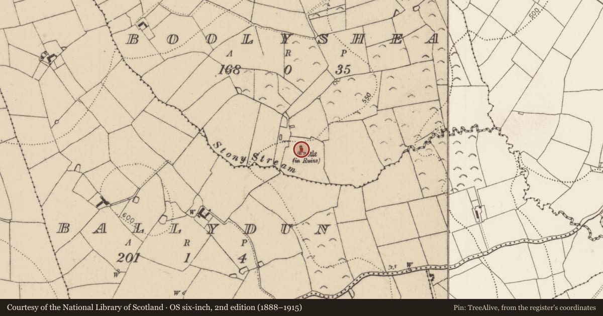 Ordnance Survey six-inch map, 2nd edition (1888–1915) covering the location of Castle - tower house, Boolyshea, County Kilkenny, with a pin at the register's coordinates