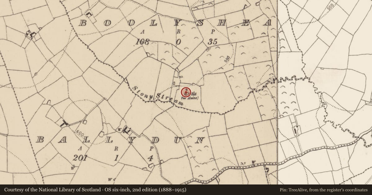 Ordnance Survey six-inch map, 2nd edition (1888–1915) covering the location of Bawn, Boolyshea, County Kilkenny, with a pin at the register's coordinates