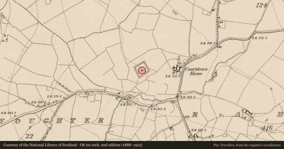 Ordnance Survey six-inch map, 2nd edition (1888–1915) covering the location of Bawn, Courtstown, County Kilkenny, with a pin at the register's coordinates