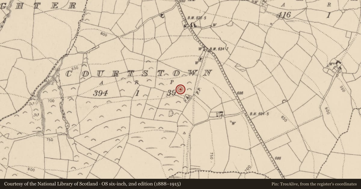 Ordnance Survey six-inch map, 2nd edition (1888–1915) covering the location of Enclosure, Courtstown, County Kilkenny, with a pin at the register's coordinates