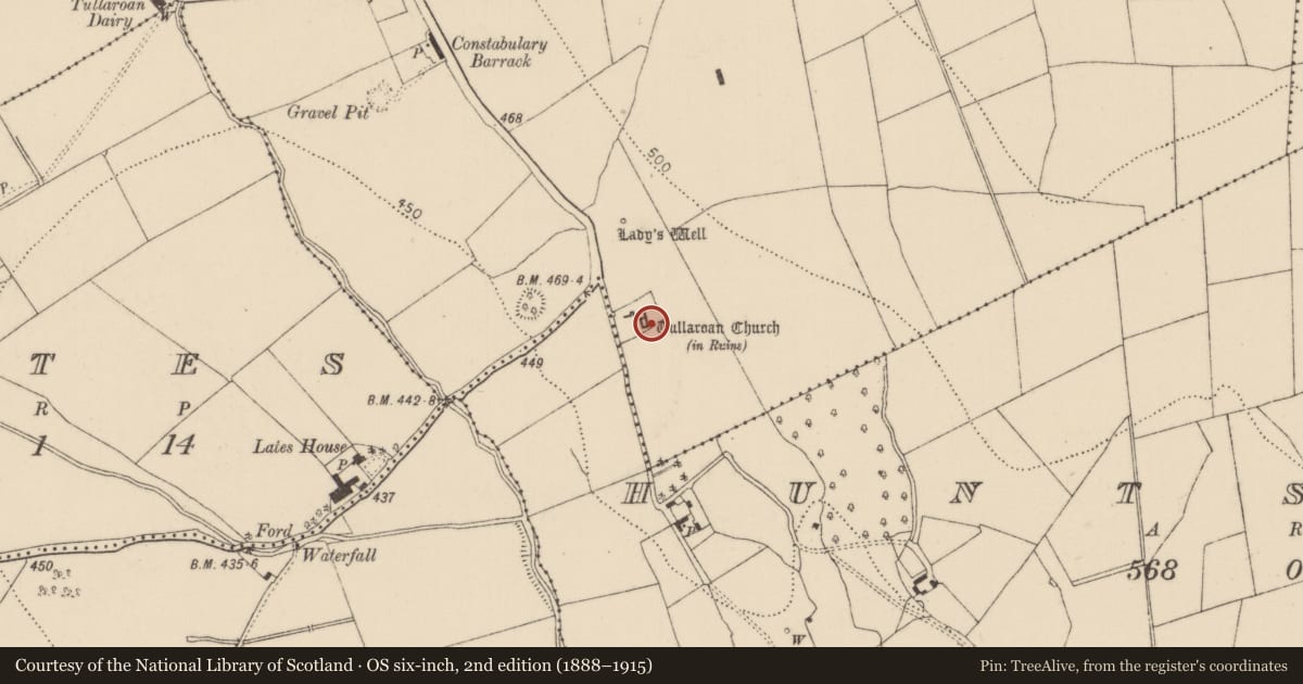 Ordnance Survey six-inch map, 2nd edition (1888–1915) covering the location of Graveslab, Tullaroan, County Kilkenny, with a pin at the register's coordinates