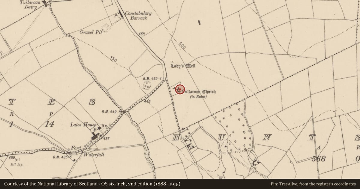Ordnance Survey six-inch map, 2nd edition (1888–1915) covering the location of Tomb - chest tomb, Tullaroan, County Kilkenny, with a pin at the register's coordinates