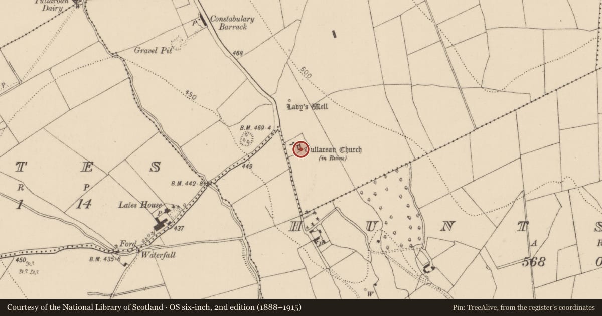 Ordnance Survey six-inch map, 2nd edition (1888–1915) covering the location of Tomb - chest tomb, Tullaroan, County Kilkenny, with a pin at the register's coordinates