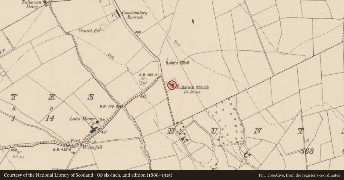 Ordnance Survey six-inch map, 2nd edition (1888–1915) covering the location of Graveslab, Tullaroan, County Kilkenny, with a pin at the register's coordinates