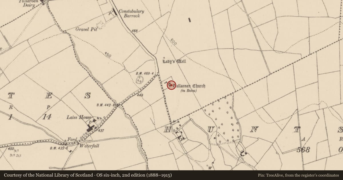 Ordnance Survey six-inch map, 2nd edition (1888–1915) covering the location of Graveslab, Tullaroan, County Kilkenny, with a pin at the register's coordinates