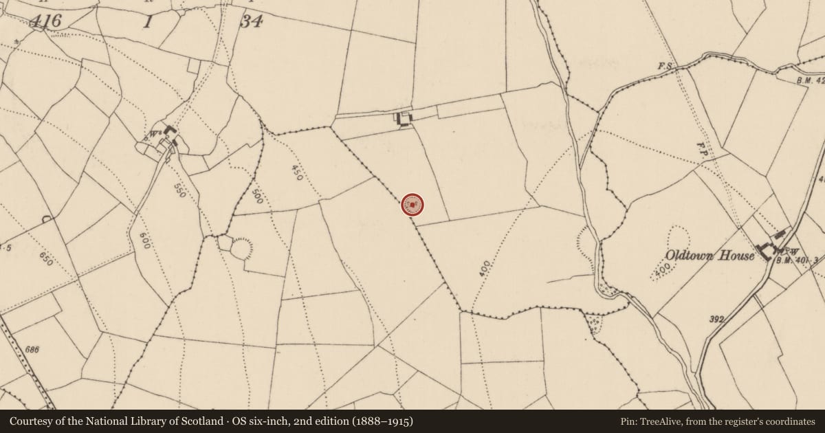 Ordnance Survey six-inch map, 2nd edition (1888–1915) covering the location of Ringfort - unclassified, Raheen, County Kilkenny, with a pin at the register's coordinates