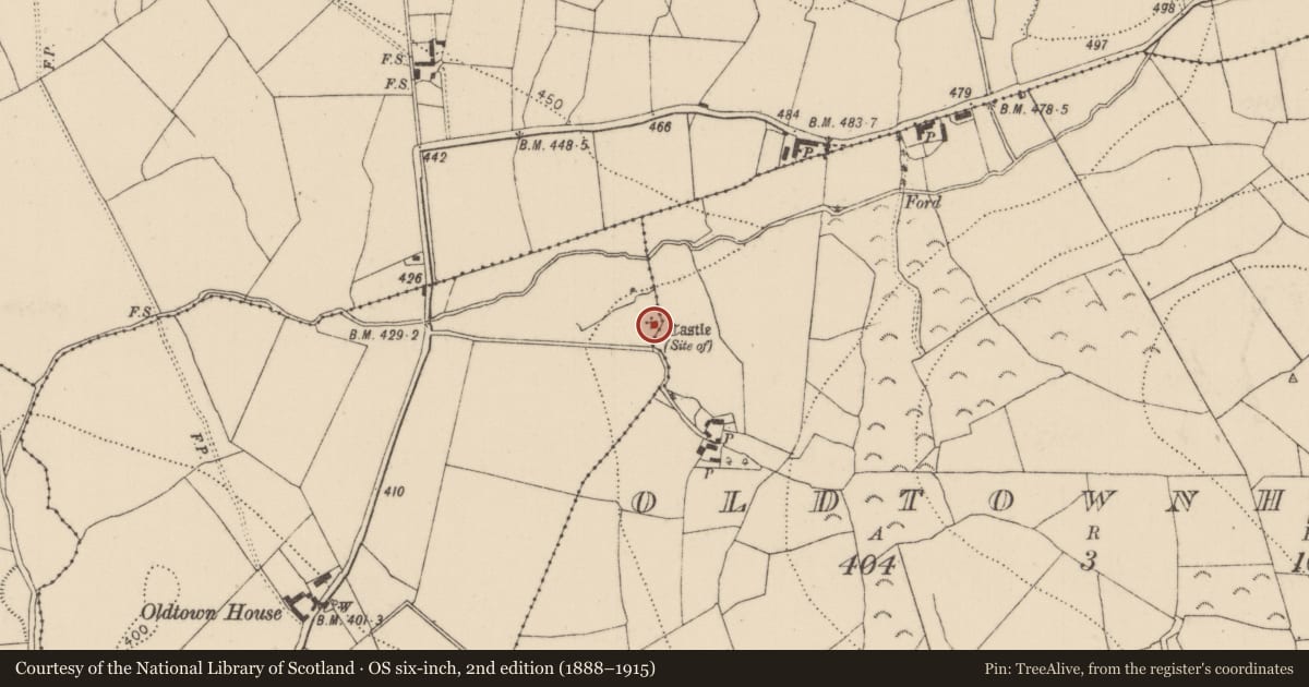 Ordnance Survey six-inch map, 2nd edition (1888–1915) covering the location of Castle - unclassified, Oldtown, County Kilkenny, with a pin at the register's coordinates