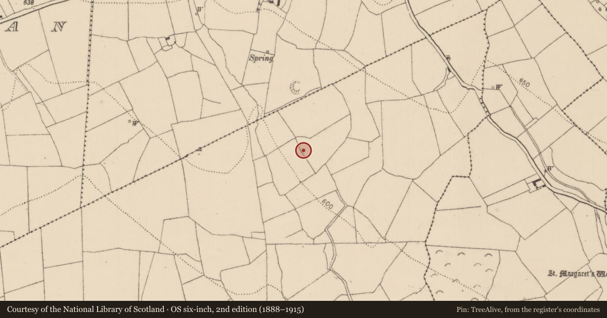 Ordnance Survey six-inch map, 2nd edition (1888–1915) covering the location of Ringfort - rath, Huntstown, County Kilkenny, with a pin at the register's coordinates