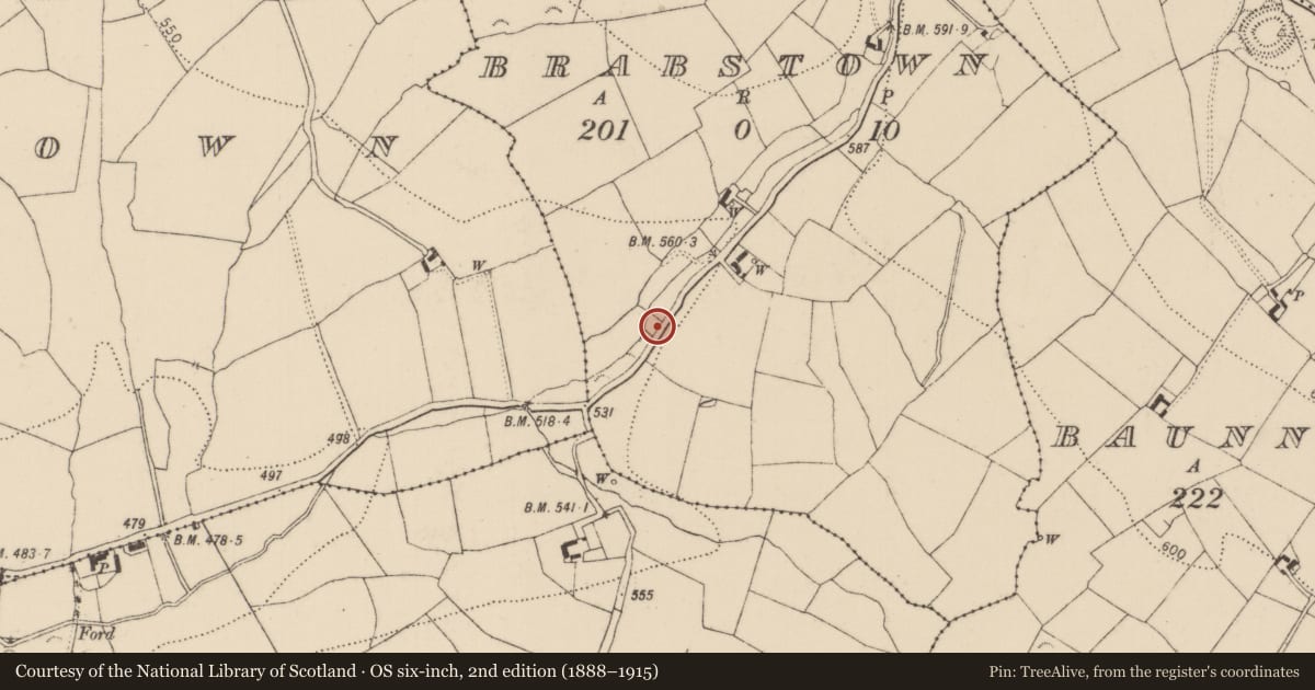 Ordnance Survey six-inch map, 2nd edition (1888–1915) covering the location of Water mill - horizontal-wheeled, Brabstown, County Kilkenny, with a pin at the register's coordinates