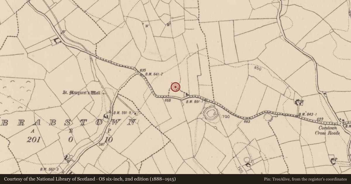 Ordnance Survey six-inch map, 2nd edition (1888–1915) covering the location of Enclosure, Remeen, County Kilkenny, with a pin at the register's coordinates