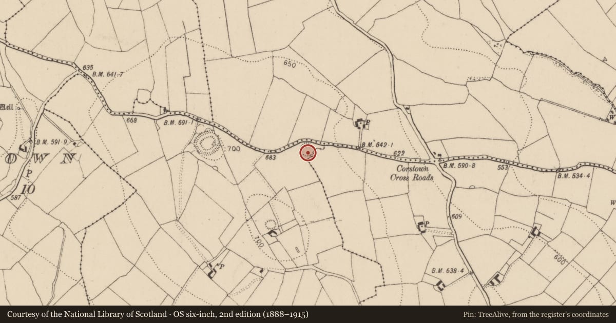 Ordnance Survey six-inch map, 2nd edition (1888–1915) covering the location of Ringfort - rath, Baunnaraha, County Kilkenny, with a pin at the register's coordinates