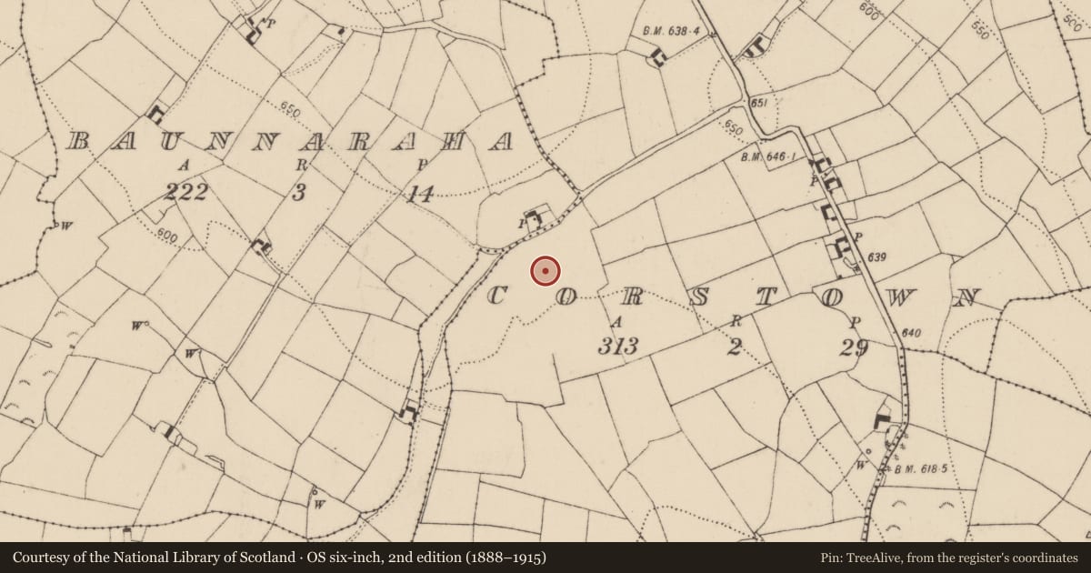 Ordnance Survey six-inch map, 2nd edition (1888–1915) covering the location of Earthwork, Corstown, County Kilkenny, with a pin at the register's coordinates
