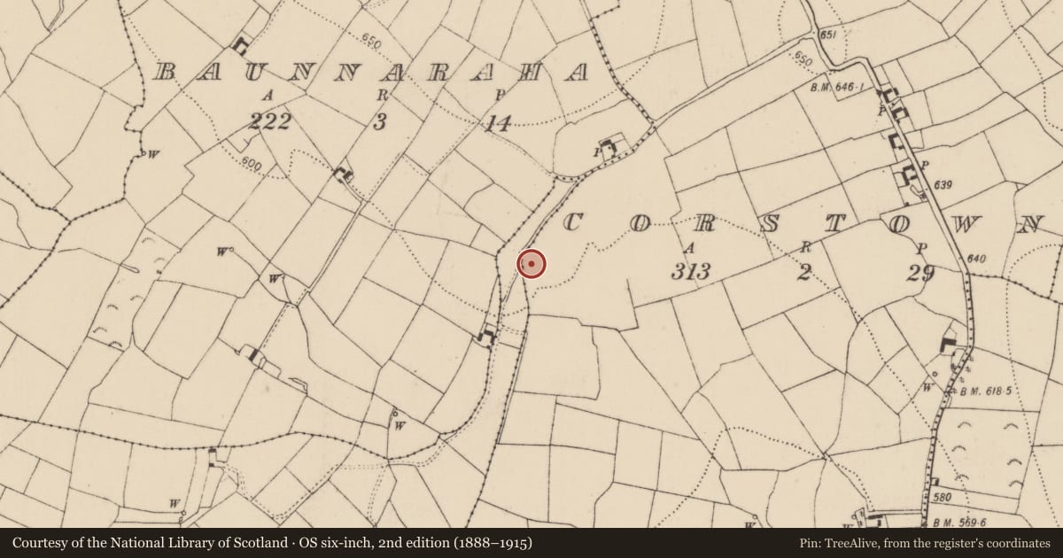 Ordnance Survey six-inch map, 2nd edition (1888–1915) covering the location of Enclosure, Corstown, County Kilkenny, with a pin at the register's coordinates