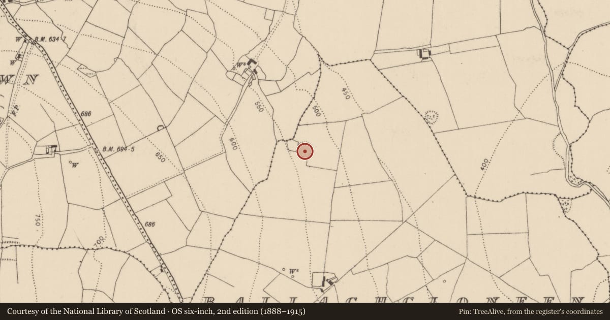 Ordnance Survey six-inch map, 2nd edition (1888–1915) covering the location of Ringfort - unclassified, Ballaghcloneen, County Kilkenny, with a pin at the register's coordinates