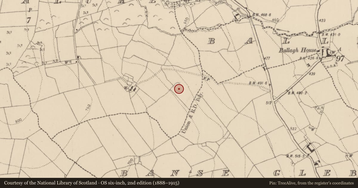 Ordnance Survey six-inch map, 2nd edition (1888–1915) covering the location of Enclosure, Foylatalure, County Kilkenny, with a pin at the register's coordinates