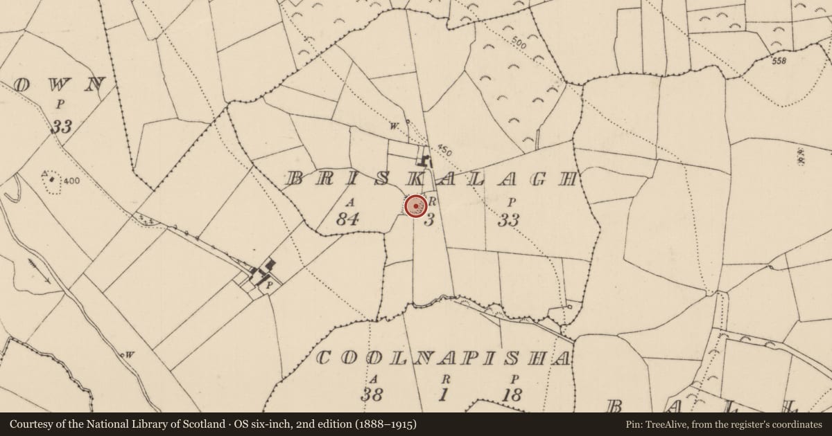 Ordnance Survey six-inch map, 2nd edition (1888–1915) covering the location of Moated site, Briskalagh, County Kilkenny, with a pin at the register's coordinates