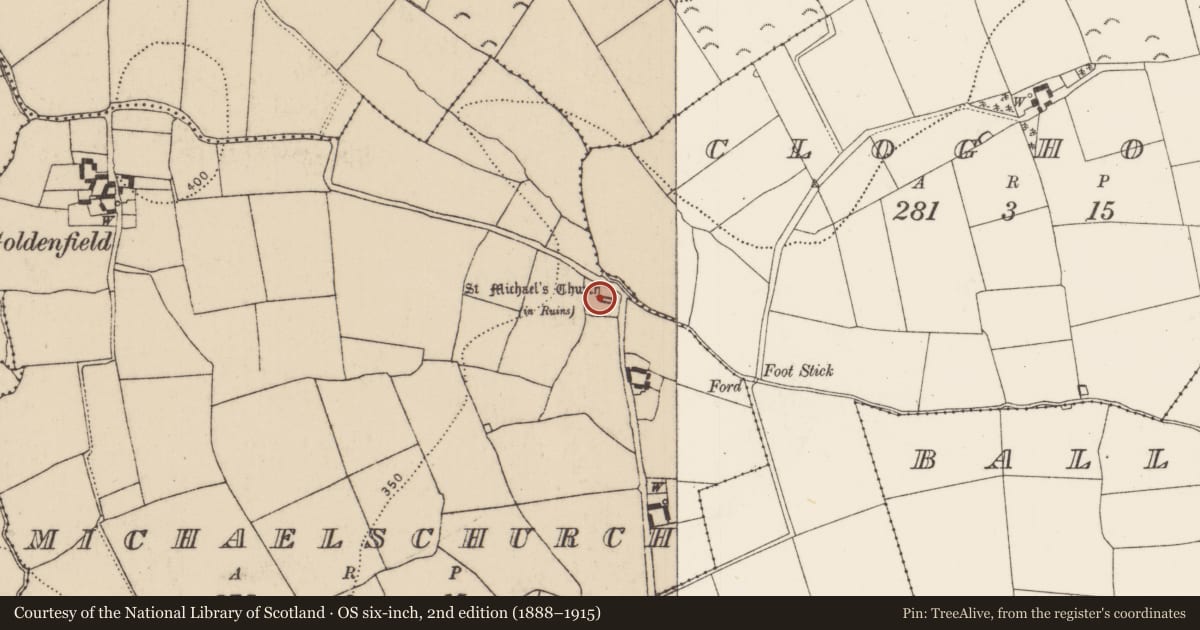 Ordnance Survey six-inch map, 2nd edition (1888–1915) covering the location of Graveyard, Michaelschurch, County Kilkenny, with a pin at the register's coordinates