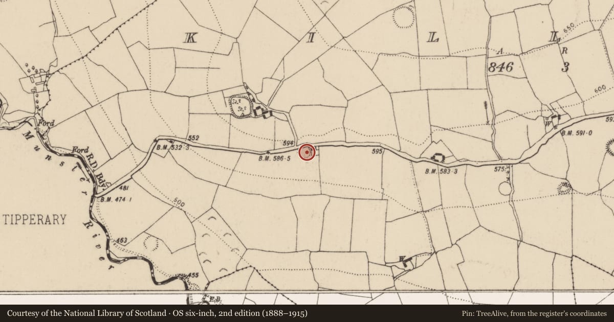 Ordnance Survey six-inch map, 2nd edition (1888–1915) covering the location of Ringfort - rath, Killeen, County Kilkenny, with a pin at the register's coordinates