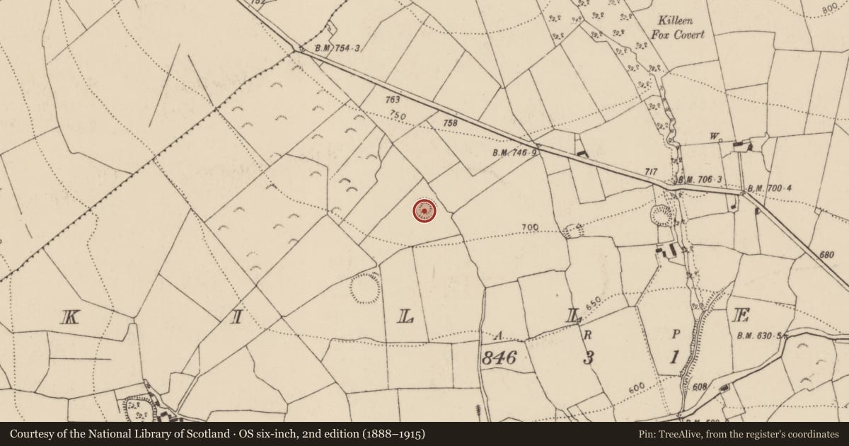 Ordnance Survey six-inch map, 2nd edition (1888–1915) covering the location of Ringfort - rath, Killeen, County Kilkenny, with a pin at the register's coordinates