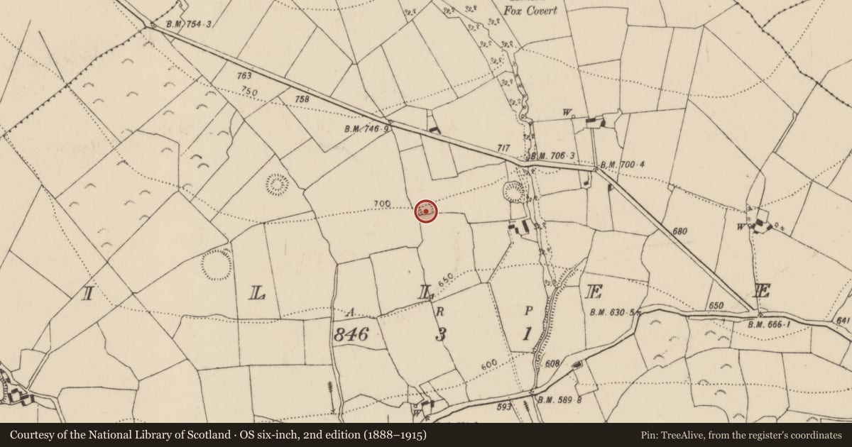 Ordnance Survey six-inch map, 2nd edition (1888–1915) covering the location of Ringfort - rath, Killeen, County Kilkenny, with a pin at the register's coordinates