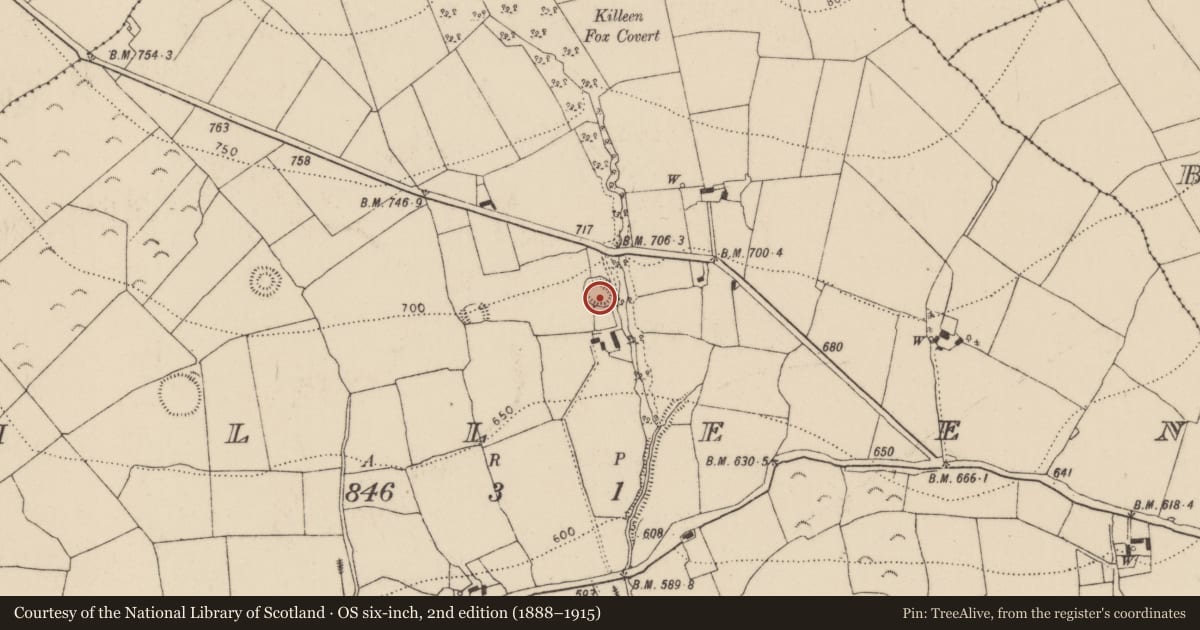 Ordnance Survey six-inch map, 2nd edition (1888–1915) covering the location of Ringfort - rath, Killeen, County Kilkenny, with a pin at the register's coordinates