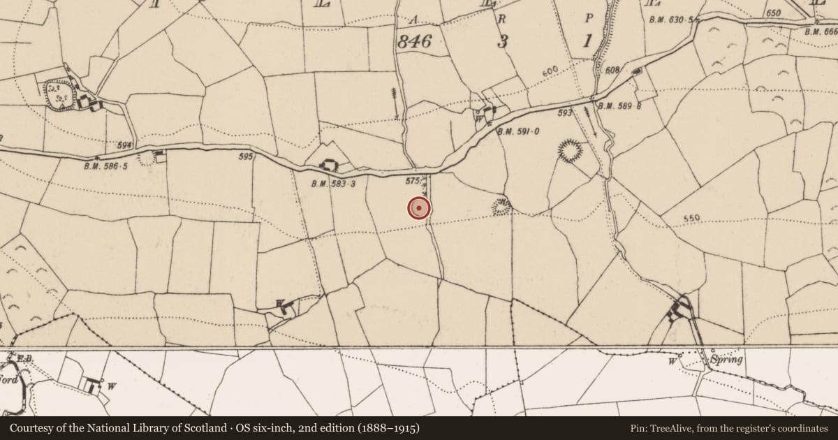 Ordnance Survey six-inch map, 2nd edition (1888–1915) covering the location of Enclosure, Killeen, County Kilkenny, with a pin at the register's coordinates